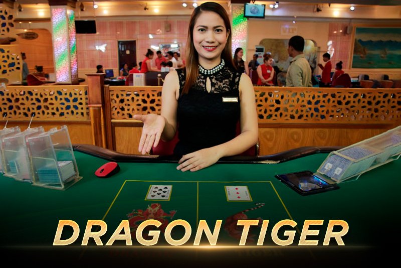 Dragon-Tiger-
